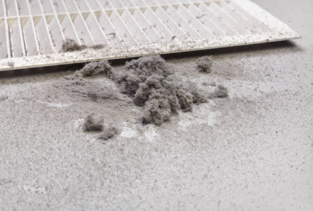 Best Air Duct Cleaning Near Me  in Ten Mile Creek, MD