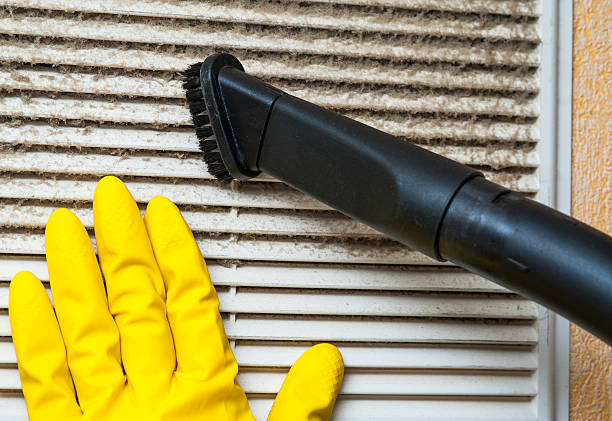 Air Duct Mold Removal in Ten Mile Creek, MD